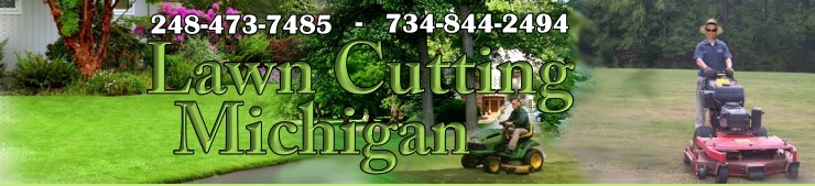 lawn cutting maintenance services in metro detroit or southeast michigan